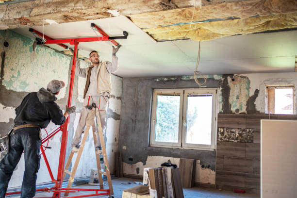 Best Insulation Materials and Products in Fyffe, AL